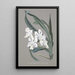 Collection of Orchids Pl10 - Anonymous — framed artwork on a wall