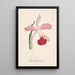 Reproduction of the painting Orchid Collection Painting Pl16 - Anonymous
