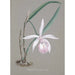 Reproduction of the painting Orchid Collection Painting Pl21 - Anonymous