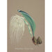 Reproduction of the painting Collection of orchids Pl23 - Anonymous