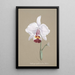 Reproduction of the painting Orchid Collection Painting Pl26 - Anonymous