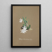 Reproduction of the painting Collection of Orchids Pl30 - Anonymous