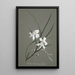 Orchid Collection Painting Pl31 - Anonymous — framed artwork on a wall