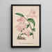 Orchid Collection Painting Pl33 - Anonymous — framed artwork on a wall