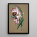 Collection of orchids Pl36 - Anonymous — framed artwork on a wall