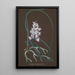 Orchid Collection Painting Pl37 - Anonymous — artwork view
