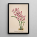 Reproduction of the painting Orchid Collection Painting Pl41 - Anonymous