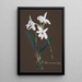 Reproduction of the painting Collection of Orchids Pl48 - Anonymous