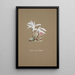 Orchid Collection Painting Pl53 - Anonymous — framed artwork on a wall