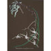 Reproduction of the painting Orchid Collection Painting Pl55 - Anonymous