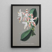 Orchid Collection Painting Pl58 - Anonymous — framed artwork on a wall