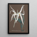 Reproduction of the painting Collection of Orchids Pl65 - Anonymous