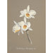 Collection of orchids Pl66 - Anonymous — artwork view