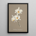 Collection of orchids Pl66 - Anonymous — framed artwork on a wall