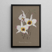 Collection of Orchids Pl68 - Anonymous — framed artwork on a wall