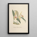 Reproduction of the painting Orchid Collection Painting Pl69 - Anonymous