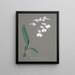 Collection of Orchids Pl79 - Anonymous — framed artwork on a wall