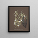 Collection of orchids Pl81 - Anonymous — framed artwork on a wall