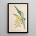 Collection of orchids Pl84 - Anonymous — framed artwork on a wall