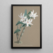 Reproduction of the painting Collection of Orchids Pl89 - Anonymous