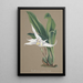 Orchid Collection Painting Pl90 - Anonymous — framed artwork on a wall