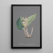 Reproduction of the painting Orchid Collection Painting Pl91 - Anonymous