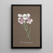 Collection of orchids Pl92 - Anonymous — framed artwork on a wall