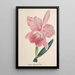Reproduction of the painting Collection of orchids Pl98 - Anonymous