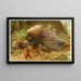 Porcupine with Crest - Anonymous — framed artwork on a wall