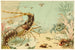 Crustaceans - Anonymous — artwork view