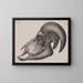 Dyr with horns - Anonymous — framed artwork on a wall