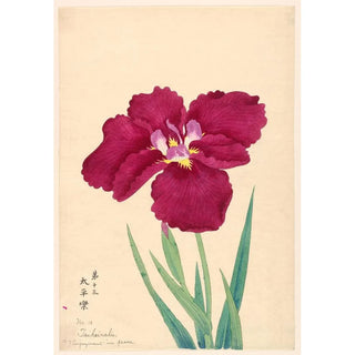 Jouissance en paix Taiheiraku - Anonyme — artwork view