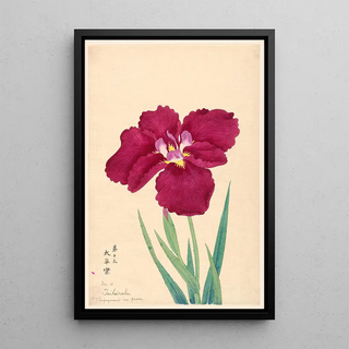 Jouissance en paix Taiheiraku - Anonyme — framed artwork on a wall