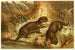 European Otter - Anonymous — artwork view