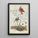 Exotic Birds with Turtle - Anonymous — framed artwork on a wall