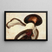Woman with Scarf - Anonymous — framed artwork on a wall