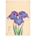 Luciole d'Ugi Uji no Hotaru - Anonymous — artwork view