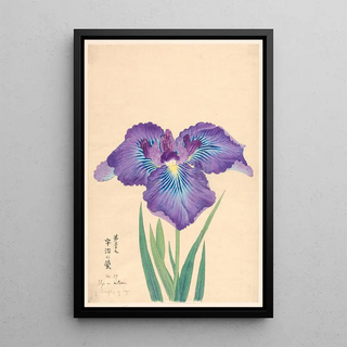 Luciole d'Ugi Uji no Hotaru - Anonymous — framed artwork on a wall