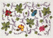 Floral motif painting for printed textile Pl X - Anonymous — artwork view