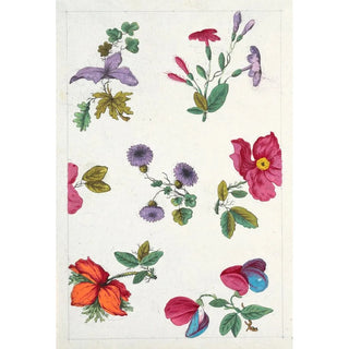 Reproduction of the painting Floral motif painting for printed textile Pl XII - Anonymous