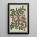 Reproduction of the painting Flower - Anonymous