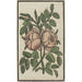 Reproduction of the painting Flower - Anonymous