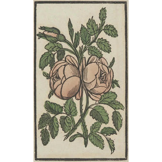 Reproduction of the painting Flower - Anonymous