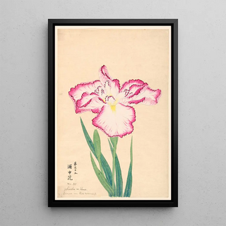 Reproduction of the painting Flower in a Wine Cup Shuchu no Hana - Anonymous
