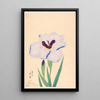 Reproduction of the painting Flower of hollyhock HanaAoi - Anonymous