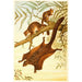 Flying Squirrel Painting - Anonymous — artwork view