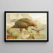 Royal Eagle Painting - Anonymous — framed artwork on a wall