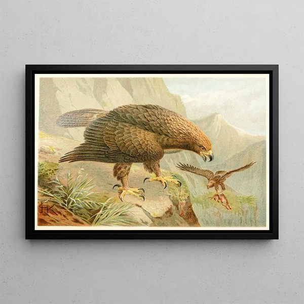 Royal Eagle Painting - Anonymous — framed artwork on a wall