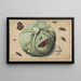 Head of Cabbage with Insects - Anonymous — framed artwork on a wall