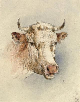 Head of a Bull - Anonymous — artwork view